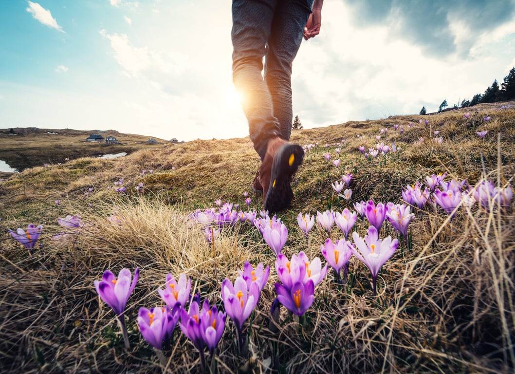 Spring Hiking